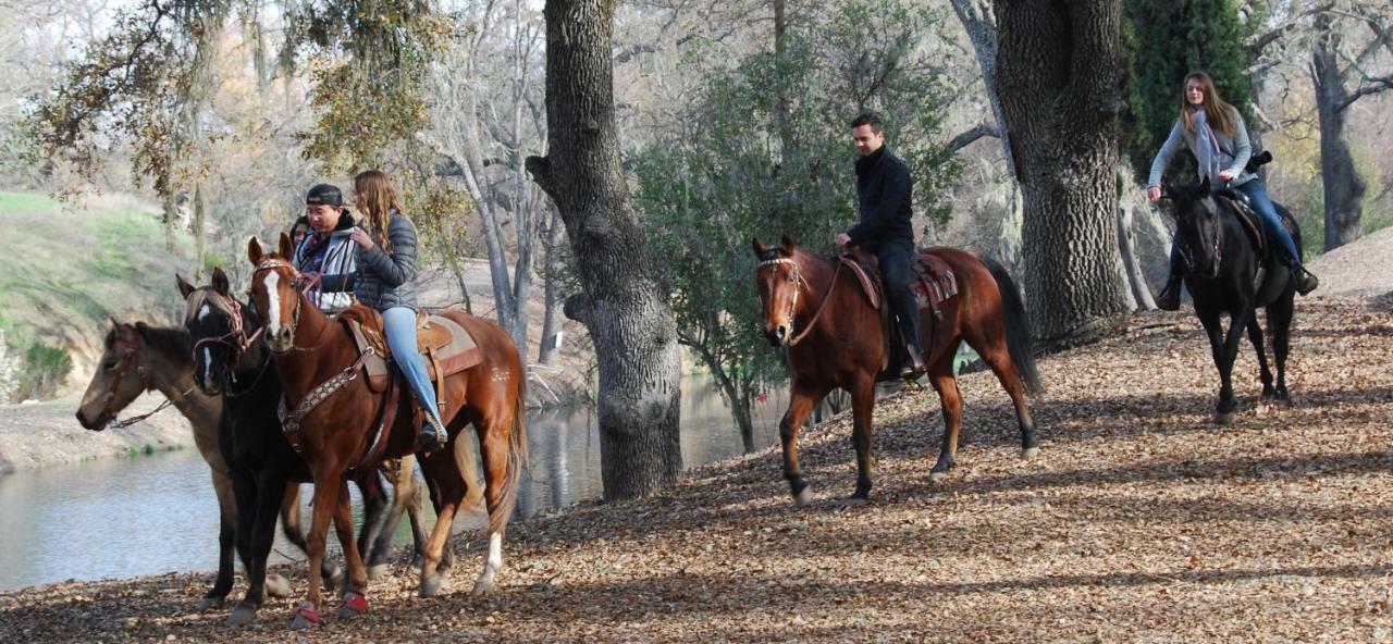 Villa Z Ranch Templeton Esterno foto